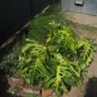 thumbnails/001-IMG_3363.JPG.small.jpeg