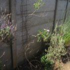 thumbnails/004-IMG_3366.JPG.small.jpeg