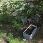 thumbnails/005-IMG_3368.JPG.small.jpeg