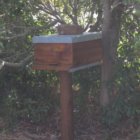 ../thumbnails/012-IMG_3381.JPG.small.jpeg