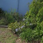 ../thumbnails/015-IMG_3393.JPG.small.jpeg