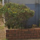 ../thumbnails/017-IMG_3399.JPG.small.jpeg