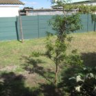 ../thumbnails/018-IMG_3403.JPG.small.jpeg