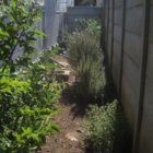 ../thumbnails/020-IMG_3367.JPG.small.jpeg