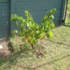 ../thumbnails/021-IMG_3406.JPG.small.jpeg