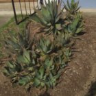 ../thumbnails/022-IMG_3398.JPG.small.jpeg