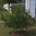 ../thumbnails/023-IMG_3397.JPG.small.jpeg