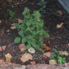 ../thumbnails/026-IMG_3392.JPG.small.jpeg