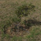 ../thumbnails/028-IMG_3389.JPG.small.jpeg