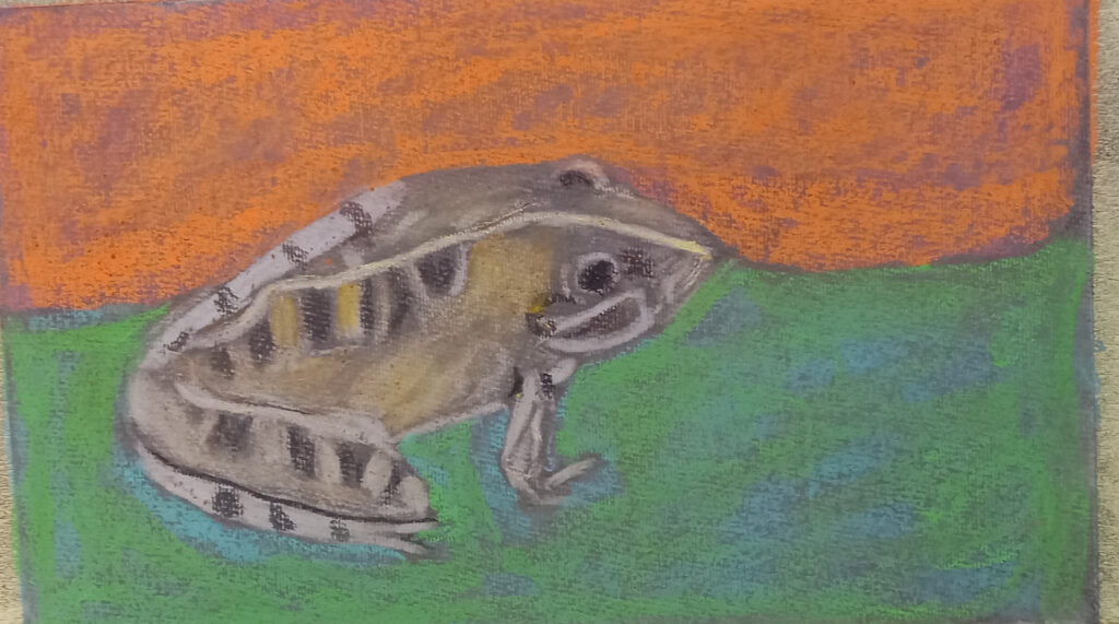 A drawing of a clicking stream grog on a back ground of orange and green.